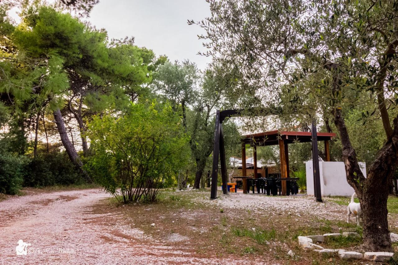 Villa Anna Residence Rodi Rodi Garganico Exteriér fotografie